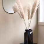 Xtore Dried 4 Pcs Off- White Pampas Grass for Home Decoration (Pack of 4, Off-White) | Imported Best in Class pampass Grass from Argentina - Fast Shipping to USA & Canada