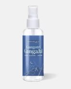 Gangotri Gangajal Sourced at 10,300 Feet - 100% Authentic Holy Gangajal - Holy Gangajal Water for Pooja & Aarti - Non Touched - Brings Positivity at Home (200ml) - Fast Shipping to USA & Canada