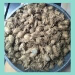 Indiana organic black turmeric powder original, kaali haldi powder - 100 gram (New Harvest - Sept 2025) Packed on Order Fresh | Zero added Colours, Fillers, Additives & Preservatives - Fast Shipping to USA & Canada