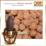 Bhikshu Rudraksha Mala 54+1 Beads & Free Gangajal (Abhishek & Poojan Purpose Only) Nepali (Amla Size) Rudraksha | Gangajal Filled from Ghats of Har Ki Pauri in Haridwar by Bhikshu || - Fast Shipping to USA & Canada - Image 4