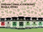 Indiana Organic Whole Herbs Combo Oregano, Thyme, Parsley, Rosemary for Culinary Use. Whole Leaves (Combo of 4) - Fast Shipping to USA & Canada - Image 2