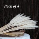 Xtore 8 Pcs Off-White Mini Pampas Grass for Home & Office Decor (Pack of 8, Off-White) - Fast Shipping to USA & Canada - Image 2