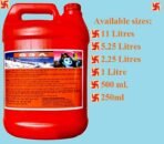 S3A 11 litres Pavitra Ganga Jal Gangajal from Haridwar 'Brahma KUND' Har Ki Pauri, DevBhoomi - Fast Shipping to USA & Canada - Image 3