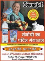 Pure GangajalWater | Gangajal Bottle from Gangotri | GangajalWater Pooja | Holy Water for Puja & Rituals Gangajal pure and natural from deep Himalayas/licensed by Uttarakhand Govt. (1 Litre x 12=bottles = 1 Box) - Fast Shipping to USA & Canada - Image 4