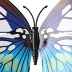 Xtore 24pcs 3D Home Decor Butterfly | 3D Butterfly Beautiful Decor Item | Comes with Sticking pad - Ocean Blue)(Set of 24) - Fast Shipping to USA & Canada - Image 3