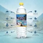 Holy Ganga Jal for Pooja & Ritual Use Only - Original Gangajal Puja Supplies | 500 ml (0.5 Litre) | Suitable for Abhishek & Temple Use - Fast Shipping to USA & Canada - Image 2