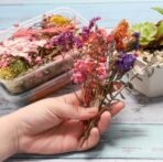 VRB DecTM 1 Box Natural Real Dried Flowers for Art Craft/rasin Art kit - Mixed & Multicolor for Soap, Artificial Candles,Scrapbook, DIY, Resin Tray Jewellery, Pendant (1 Box - Multicolor) - Fast Shipping to USA & Canada - Image 4