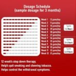 Rusan 2baconil 2mg 100 Nicotine Gums | Icy Mint Flavor | Sugar-Free | Quit Smoking & Chewing Tobacco/Gutkha | Nicotine Replacement Therapy - Fast Shipping to USA & Canada - Image 4