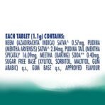 Happydent White, Xylitol Sugarfree Spearmint Flavour, Chewing Gum Pocket Bottle, 24.2 g, 22 pc - Fast Shipping to USA & Canada - Image 5