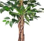 VRB Dec 1 Pcs (5 FT) Artificial Plants with Pot Plants Leaves Tree Tropical Bougainvillea Faux Areca Plants Indoor Real Touch Monstera,Banana Plant for Home (Artificial Ficus Plant with Pot) - Fast Shipping to USA & Canada - Image 3