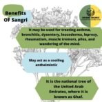 Indiana Organic - Sangri 200 g | premium thin size sangri for ker sangri panchkutta. - Fast Shipping to USA & Canada - Image 3