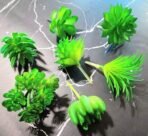 VRB Dec TM 6 Pcs Artificial Succulent Heads Small Mini Artificial Plants,Exquisite Faux Plant,Unpotted Faux Succulent for Craft, Small Plastic Succulent,Perfect for Gifting,Office Decor (6), Green - Fast Shipping to USA & Canada - Image 3