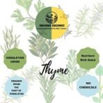 Indiana Organic Thyme herb Dry Whole Leaves - 40 Gm | 100% Natural | No Artificial Colour Flavour added 40 gram (Pack of 1) - Fast Shipping to USA & Canada - Image 2