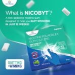 Nicobyt Nicotine Polacrilex Gum U.S.P 2MG - |Mint Flavoured| 9 Chewing Gums x Pack of 3 - Fast Shipping to USA & Canada - Image 3