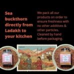 Indiana Organic - Ladakh Sea Buckthorn Berries 120 gram| Sourced from Ladakh | Rich In Omega 3, 6, 7, 9, Vitamin C & E | Immunity & Skin Support | No Added Sugar or Preservatives | No oil extracted (Whole dry berry) - 120 gram - Fast Shipping to USA & Canada - Image 3