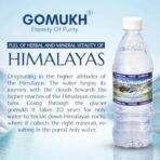 Gangajal 500ML The Purest Holy Water Directly From Gangotri Valley Approved By Govt. Of Uttrakhand For Puja Purposes 0.5 LTR - Fast Shipping to USA & Canada - Image 5