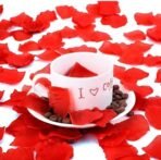 VRB Dec Silk (300Pcs Artificial Rose Petals Flowers Fake Water Floating Flowers For Pooja Thali, Festival And Events, Home, Table, Badroom, Pooja Room, Diwali Decoration Items And Diy (Red) - Fast Shipping to USA & Canada - Image 4
