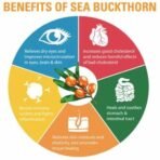 Indiana Sea Buckthorn Berry (100 gm) - Nourishes Skin | Rich in fatty Acids,Omega 3, 6, 7, 9, Collagen, Fiber, Omegas, Vitamin C, Vitamin E| No added Sugar | (100 grams) - Fast Shipping to USA & Canada