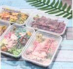 VRB DecTM 1 Box Natural Real Dried Flowers for Art Craft/rasin Art kit - Mixed & Multicolor for Soap, Artificial Candles,Scrapbook, DIY, Resin Tray Jewellery, Pendant (1 Box - Multicolor) - Fast Shipping to USA & Canada - Image 3