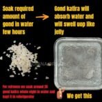 Indiana organic Gond katira | tragacanth Crystals | 100% Natural | badam Pisin Almond Gum - 200 gram | High Cooling Properties | Natural Superfood - Fast Shipping to USA & Canada - Image 2