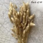 XTORE 60 Pcs Dried Phalaris Grass for Home & Office Decor (Pack of 60, Brown) - Fast Shipping to USA & Canada - Image 3