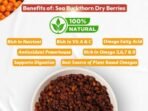 Indiana Sea Buckthorn Berry (100 gm) - Nourishes Skin | Rich in fatty Acids,Omega 3, 6, 7, 9, Collagen, Fiber, Omegas, Vitamin C, Vitamin E| No added Sugar | (100 grams) - Fast Shipping to USA & Canada - Image 4