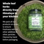 Indiana Organic Moringa Whole Leaves Dry Leaf, Dried Drumstick Tree Leaves, Natural Super-Food ? For Making Herbal Tea, Smoothies, Soups - 35 Gram (Pack of 3) - Fast Shipping to USA & Canada - Image 2