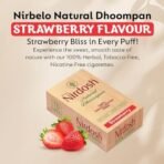 Nirdosh Natural Dhoompan Strawberry Flavour | Pack Of 10 Sticks |100% Tobacco Nicotine Free | Experience The Sweet & Smooth Taste In Every Puff! - Fast Shipping to USA & Canada - Image 2