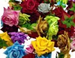 VRB DecTM (Pack of 6) Artificial Rose Velvet Flowers Fake Water Floating Flowers for Pooja Thali, Festival and Events, Home Decor,Diwali Decoration Items and DIY (Multi Mix Assorted, 6) - Fast Shipping to USA & Canada - Image 3