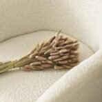 XTORE 60 Pcs Dried Phalaris Grass for Home & Office Decor (Pack of 60, Brown) - Fast Shipping to USA & Canada - Image 2