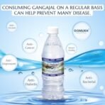 Gangajal 500ML The Purest Holy Water Directly From Gangotri Valley Approved By Govt. Of Uttrakhand For Puja Purposes 0.5 LTR - Fast Shipping to USA & Canada - Image 3