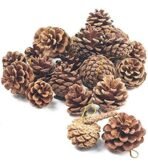 VRB Dec 24 pcs Hanging Chritmas Ornaments for Christmas Decorations Items/Chritmas Tree/Decoration Items Hanging Accessories for Home, Office, Bedroom, Balcony (Pine Cones - 24 Pcs) - Fast Shipping to USA & Canada - Image 3