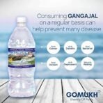 "GOMUKH? Gangajal 5000ml The Purest Holy Water Directly From Gangotri Valley Approved By Govt. Of Uttrakhand For Puja Purposes 5 LITRE - Fast Shipping to USA & Canada - Image 5