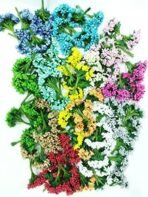 VRB Dec Plastic Pack Of 144 Artificial Pollen Flowers For Art And Craft Tiara Headband Jewellery Making Pack Of 144 Pollens (Multicolor) - Fast Shipping to USA & Canada - Image 4