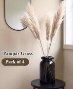 XTORE Dried 4 Pcs Pampas Grass for Home Decoration (Pack of 4 Sticks, Off-White) - Fast Shipping to USA & Canada - Image 2