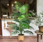 VRB Dec 1 Pcs Artificial Plants with Pot Plants Leaves Tree Tropical 12 Palm Leaves Faux Areca Palm Plants Indoor Real Touch Monstera Plant for Home/Decor (Areca Plant with Pot) - Fast Shipping to USA & Canada - Image 3