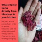 Indiana Organic Rhododendron Flower Tea - 40 gram Whole Leaf Buransh Flower Petals in Glass Jar | Pure Herbal Tea" - Fast Shipping to USA & Canada - Image 2