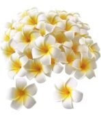 VRB Dec Artificial gBig Foam Hawaaii Fake Foam Water Floating Flowers for Pooja Thali, Festival and Events, Home, Table, Badroom, Pooja Room, Diwali Decoration (24, White) - Fast Shipping to USA & Canada