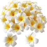 VRB Dec Artificial gBig Foam Hawaaii Fake Foam Water Floating Flowers for Pooja Thali, Festival and Events, Home, Table, Badroom, Pooja Room, Diwali Decoration (24, White) - Fast Shipping to USA & Canada