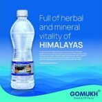 "GOMUKH? Gangajal 2000ML The Purest Holy Water Directly From Gangotri Valley Approved By Govt. Of Uttrakhand For Puja Purposes 2 Litre - Fast Shipping to USA & Canada - Image 5