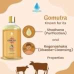 Gomutra - 1 Bottle - Genuine Holy Desi Cow Gaumutra for Puja - Rituals and Religious Rites 500 ml | 100% Pure & Natural Gomutra - Fast Shipping to USA & Canada - Image 5