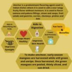 Indiana Organic Amchur Powder | dry mango powder | amchoor powder | Packed on Order Fresh ground | Zero added Colours, Fillers, Additives & Preservatives - 200 gram - Fast Shipping to USA & Canada - Image 3