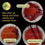 Indiana organic Kashmiri Chilli Powder | Freshly Ground Lal Mirch Spice - Deep Red Colour, Mild Flavor | kashmiri Stemless lal mirch powder - 400 Gram - Fast Shipping to USA & Canada - Image 3