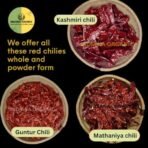 Indiana Organic Mathania Whole Red Chili - 400 gram | Rajasthani Mathania Whole Mirch, Sabut lal mirch, Stemless, 400 gram (vaccum packed air tight) - Fast Shipping to USA & Canada - Image 2