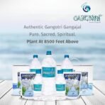 Gangotri purest Gangajal 330 ML (Pack of 6 Bottle) - Fast Shipping to USA & Canada - Image 3