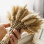 XTORE 60 Pcs Dried Phalaris Grass for Home & Office Decor (Pack of 60, Brown) - Fast Shipping to USA & Canada - Image 5