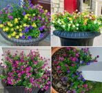 VRB DecTM Artificial Eucalyptus Flower Bunch for Home Decoration | Faux Flowers for Vases | Decoration Items for Home, Living Room | Restaurant Decoration and Craft (Mix with Flower, 4) - Fast Shipping to USA & Canada - Image 4