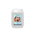 Gangajal for Pooja Purpose 5 Litre Approved by Govt. of Uttrakhand 5 LTR. for Puja - Fast Shipping to USA & Canada