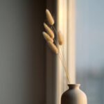 Xtore 5 Pcs Phalaris Dried Grass for Home & Office Decor (Pack of 5, Brown) - Fast Shipping to USA & Canada