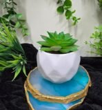 VRB Dec 1 Pcs Artificial Plants with Pot Plants Leaves Tropical Faux Succulent Plants Indoor Real Touch Succulent Plant for Home/Decor (Design 11) - Fast Shipping to USA & Canada